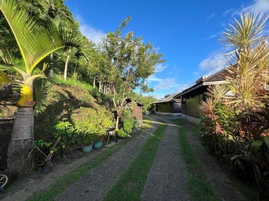 Tehuarupe Surf Studios Haapiti Exteriör bild