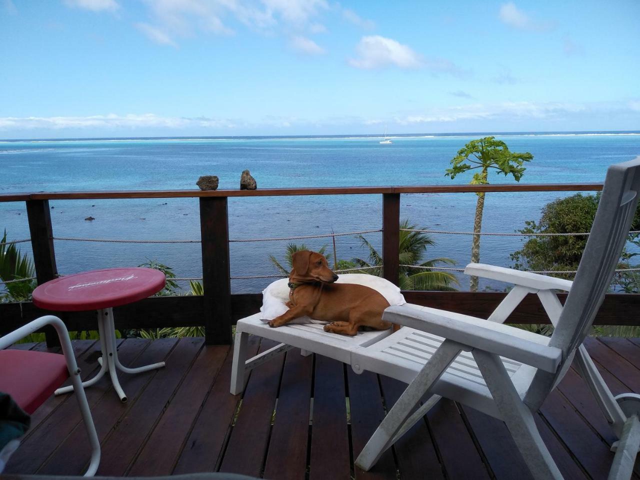 Tehuarupe Surf Studios Haapiti Exteriör bild